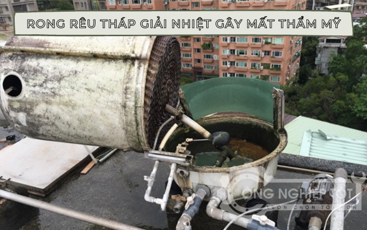Rong rêu tháp giải nhiệt gây mất thẩm mỹ, ảnh hưởng môi trường sống